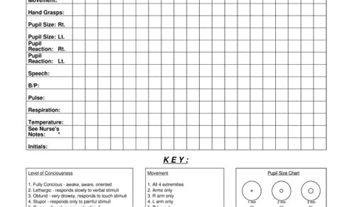 Neuro Checks Flowsheet Fill And Sign Printable Template Online Otosection