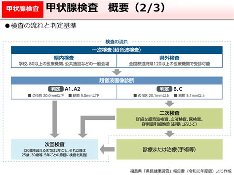 環境省甲状腺検査 概要（23）