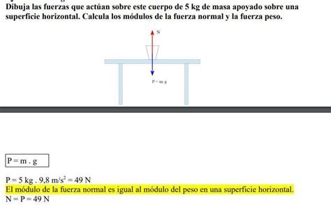 Dibuja Las Fuerzas Que Act An Sobre Este Cuerpo De Kg De Masa Apoyado