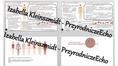 Minizestaw na temat Obwodowy układ nerwowy Odruchy sketchnotka