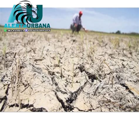 Declararon emergencia agropecuaria en Jujuy Neuquén y Salta