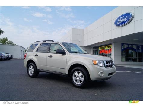 2008 Light Sage Metallic Ford Escape Xlt 53224473 Photo 33 Car Color Galleries