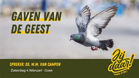 Live Goes Ds M M Van Campen De Gaven Van De Geest Februari