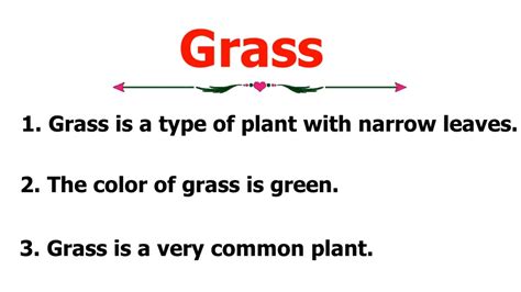 10 Lines Essay On Grass Essay On Grass In English Easy Sentences