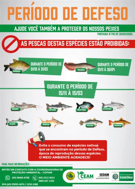 Per Odo Do Defeso Est Em Vigor Em Todo O Estado Pesca Proibida At