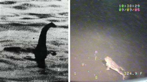 Fotos Nessie Podr A Ser Un Sapo Gigante Que Acecha En Las