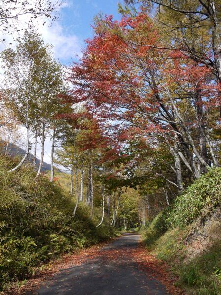 宮田高原～秋part2～ 信州みやだ観光ガイド 長野県宮田村・木曽駒ヶ岳の観光情報サイト