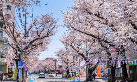 東村山市特集～kenroku Park Town Special Page～｜東京都の新築一戸建て・分譲住宅・一戸建ての販売情報なら兼六ホーム株式会社