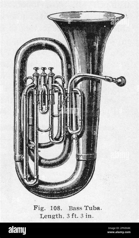 Simple Tuba Drawing