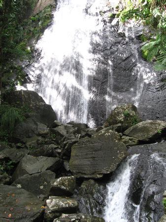 National Forest: El Yunque National Forest Tours