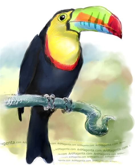 Birds: Keel-billed toucan