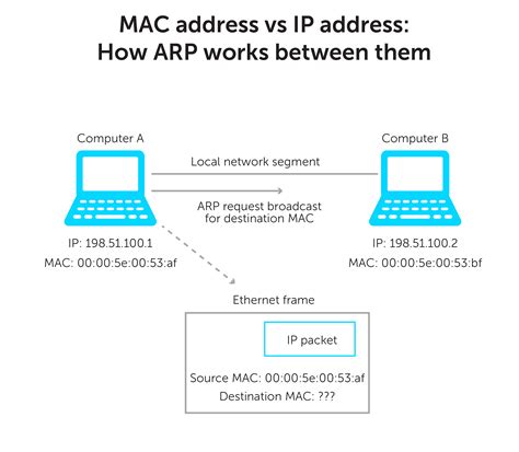 Mac Address Vs Ip Address Whats The Difference Bluecat Networks