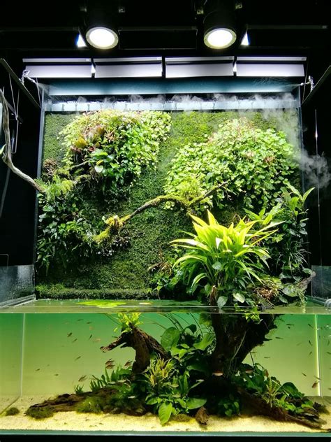 Strange World Aquarium RZN | Аквариум г. Рязань | ВКонтакте