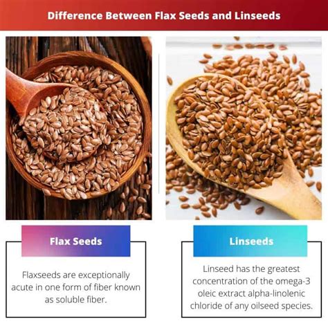 Flax Seeds Vs Linseeds Difference And Comparison