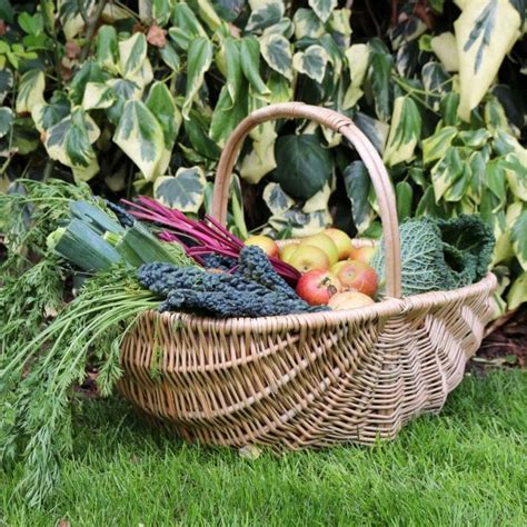 Beaulieu Wicker Trug Basket The Basket Company