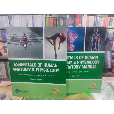 Essentials Of Human Anatomy And Physiology Th Edition Textbook