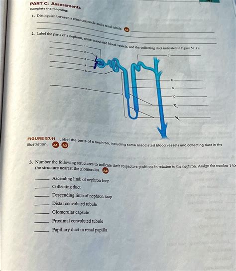 Part C Assessments Complete The Following Distinguish Between A