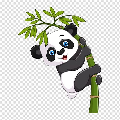 Panda transparent background PNG clipart | HiClipart