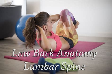 Anatomy Of The Lumbar Spine El Paso Back Clinic® • 915 850 0900