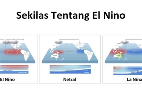 Inilah Penjelasan Bmkg Mengenai Fenomena El Nino Southern Oscillation