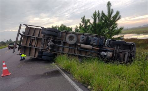 Caminhão tomba ao desviar de bovino na Estrada do Mar em Arroio do Sal