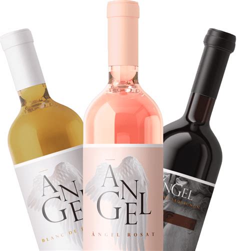 Bodegas Angel Vinos De Mallorca Bodegas Ngel