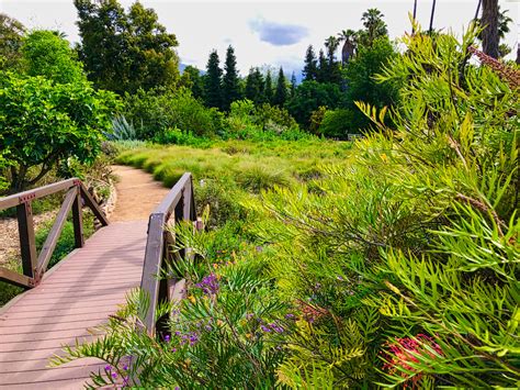 Los Angeles County Arboretum and Botanical Gardens Arcadia, CA