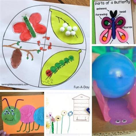 30 Insect Science Activities For Preschoolers Fun A Day