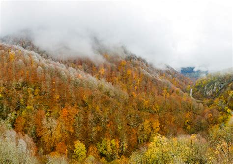 Hiking in Dilijan National Park. Monateries – FindArmenia