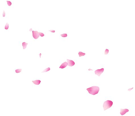 Petal Png Free Images With Transparent Background 17