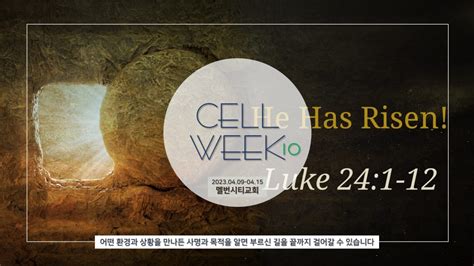 Cell Week