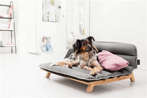 A Real Dog Bed Will Add A Modern Touch To Your Home Design Dog