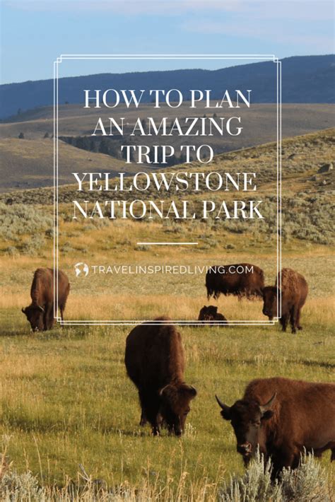 Planning A Trip To Yellowstone National Park Travel Inspired Living