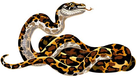 Cartoon Python Wilderness Tropical Long Vector Wilderness Tropical