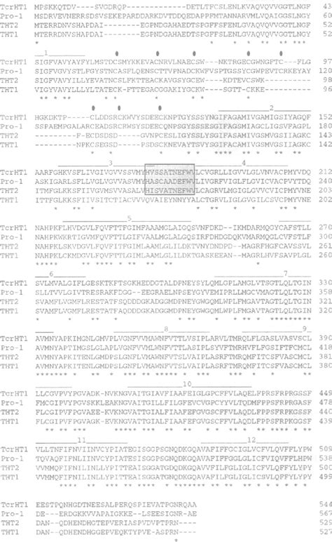 Figure 1 From Characterization Of Glucose Transport And Cloning Of A