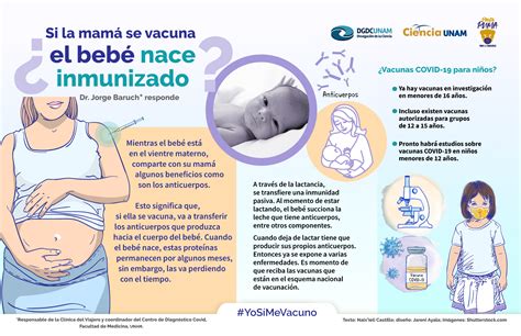 Embarazo Y Vacunas Beb S Protegidos Contra El Coronavirus Ciencia Unam