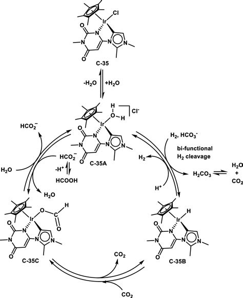 Recent Developments In Reversible CO2 Hydrogenation And Formic Acid