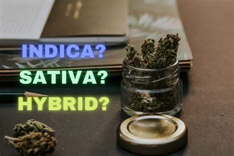 What's the Difference Between Sativa, Indica and Hybrid