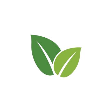 mint logo templates psd design    pngtree