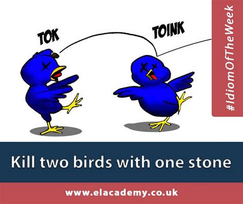 KILL TWO BIRDS WITH ONE STONE This Idiom Means To Accomplish Two