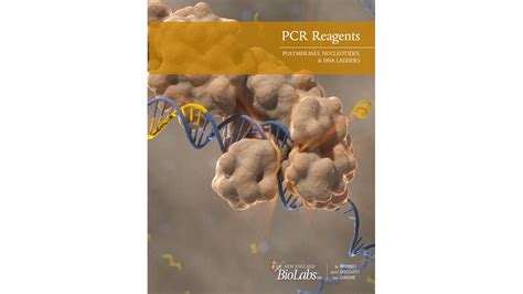 Labvolution Product Dna Rna Amplifikation Pcr Lamp New England