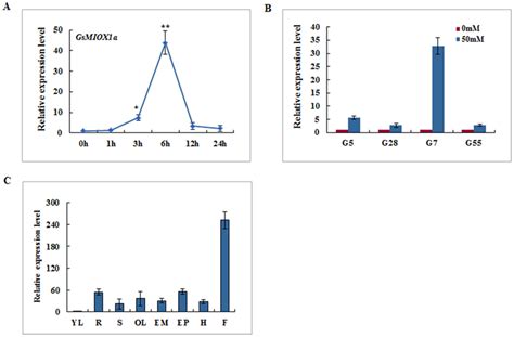 Expression Patterns Of Gsmiox A In G Soja A The Accumulation