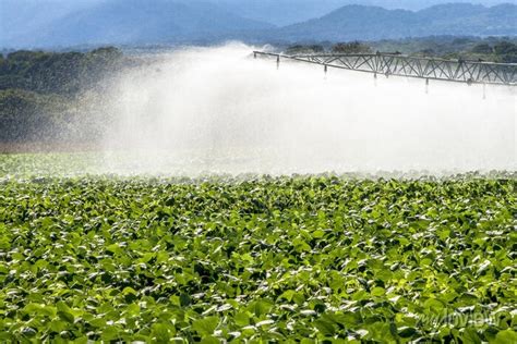 Sistema de irrigação que irriga um campo agrícola de soja no cartazes