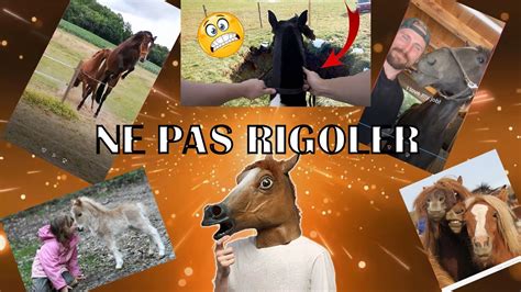 ON REAGIT A VOS PIRE CHUTES DE CHEVAUX ESSAYEZ DE NE PAS RIRE Best