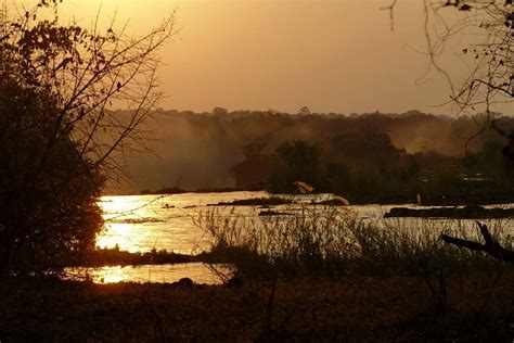 Zambezi River • African Safari