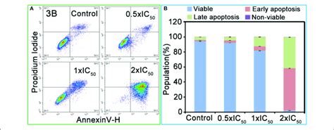 A Apoptosis Analysis Of A549 Cancer Cells After 24 H Of Exposure To