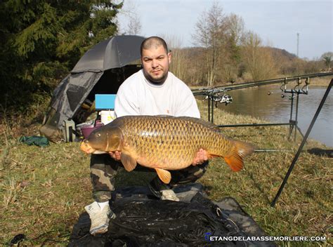 Les Poissons Etang De La Basse Morliere