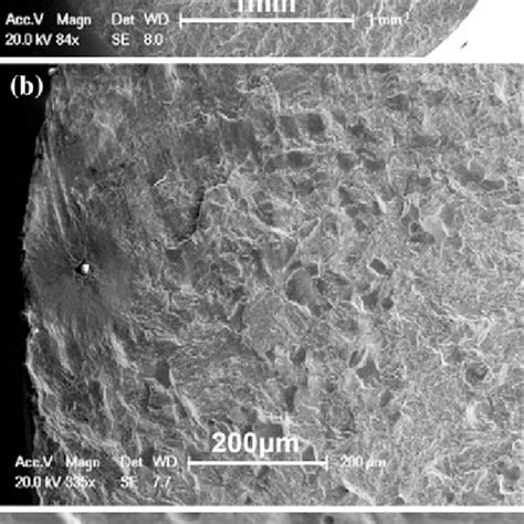 Sem Photos Showing Fractography Of Specimen C After Vhcf Failure With