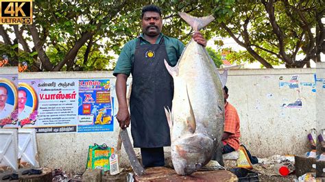 KASIMEDU SPEED SELVAM 30 KG GIANT TREVALLY FISH CUTTING IN