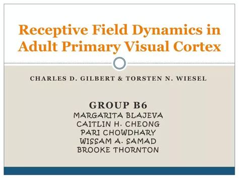 Ppt Receptive Field Dynamics In Adult Primary Visual Cortex Powerpoint Presentation Id 6883757